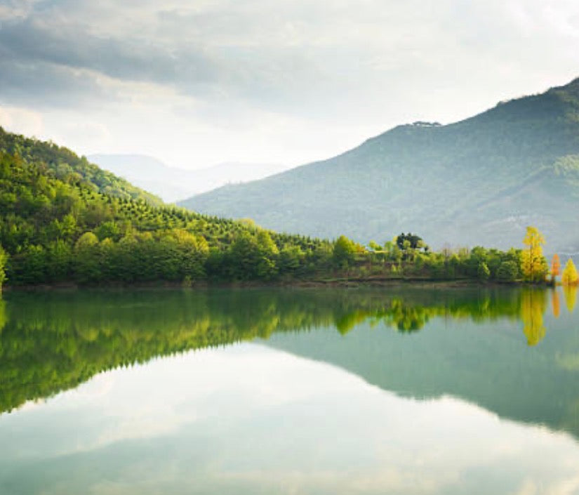 The Science of Happiness through the Prism of Ancient Jewish Wisdom